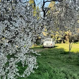  Bed & Breakfast Domo Mia Italia